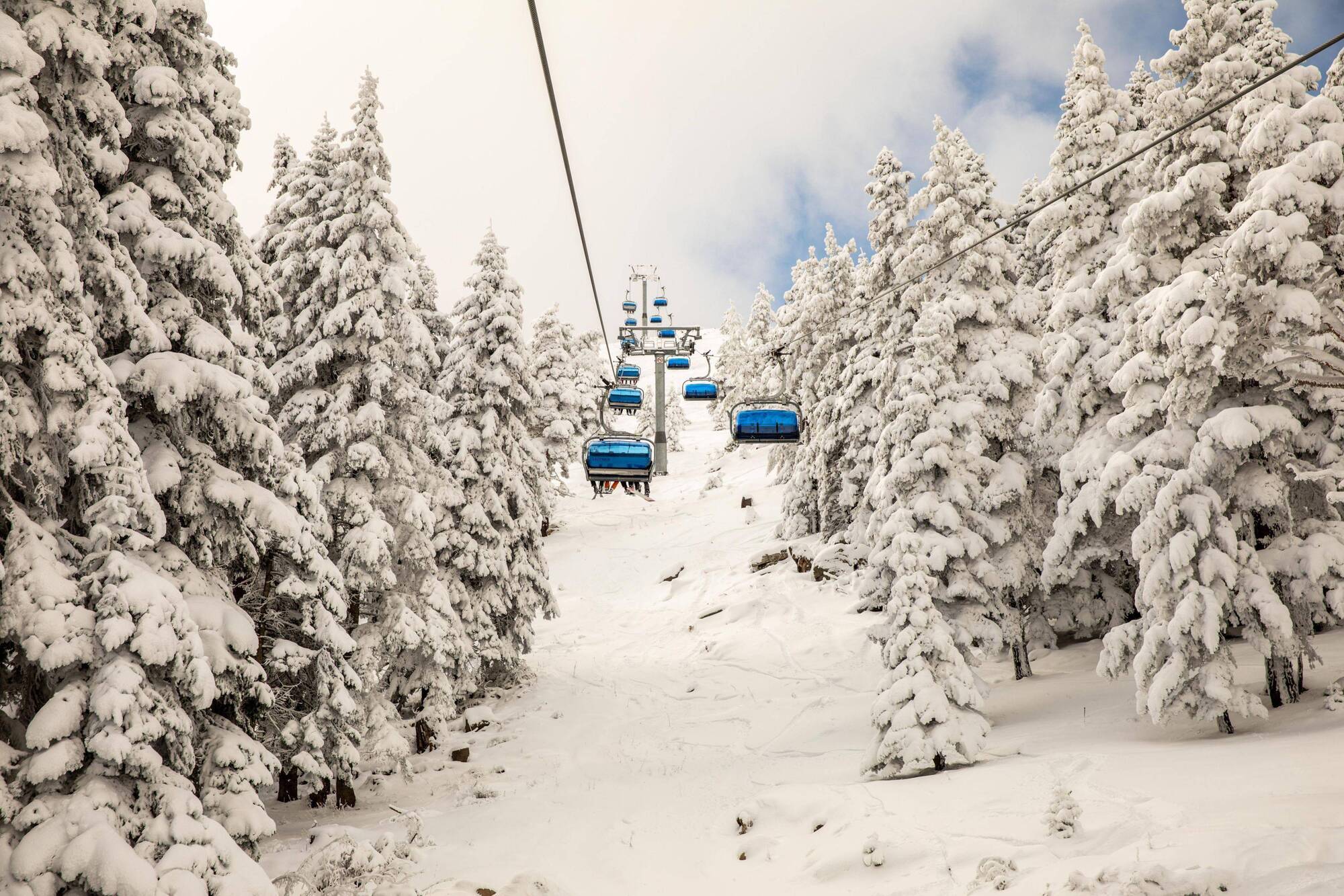 Dorukkaya Ski & Mountain Resort Bolu Eksteriør bilde